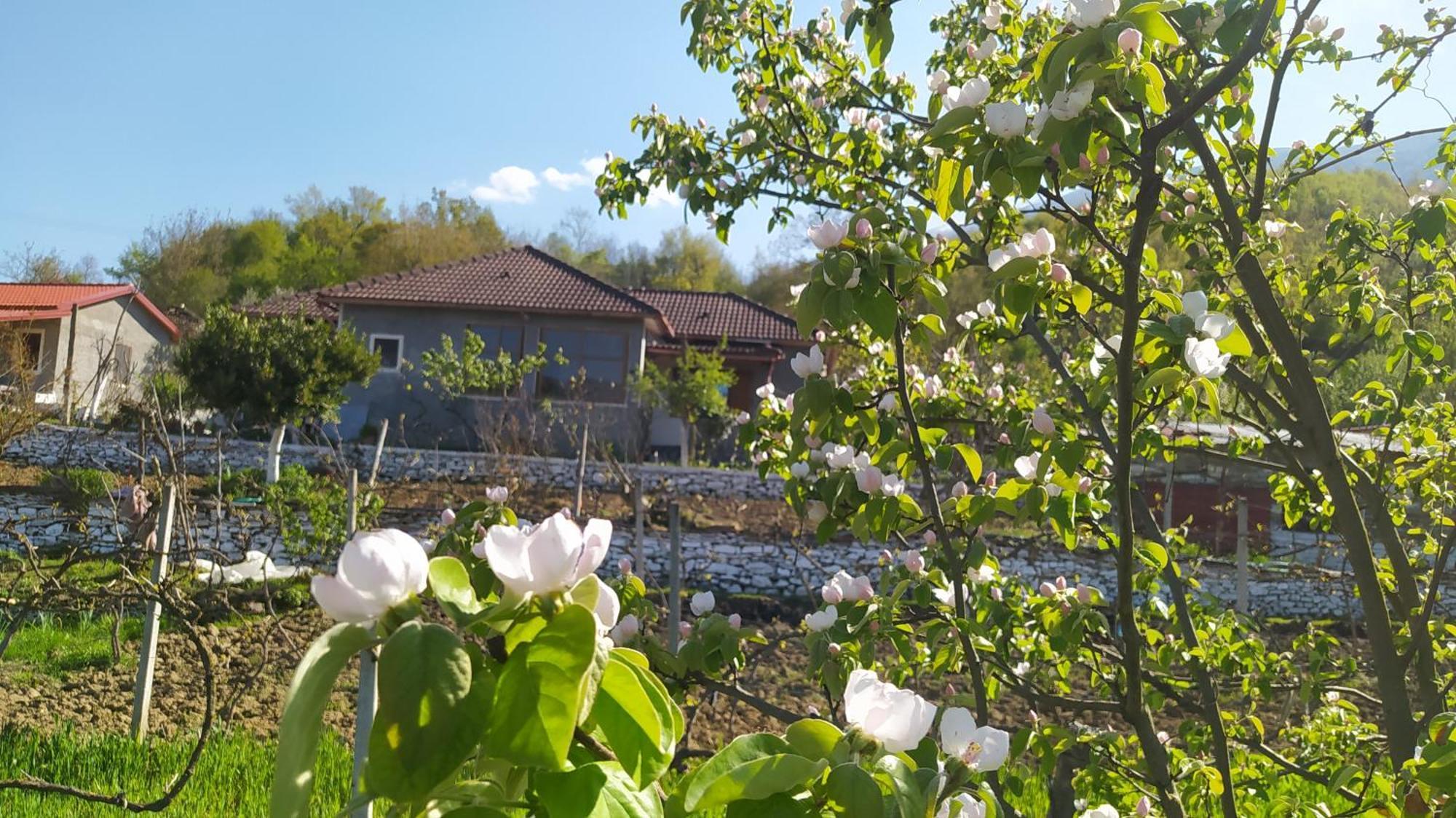 Spring Village Home Përmet Kültér fotó